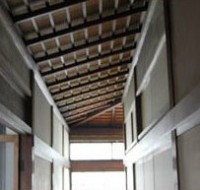 長廊下の天井 長廊下の天井